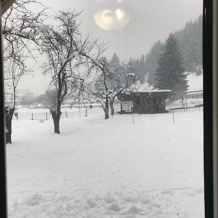 Отель Shelest Vody Ruska Mokra Экстерьер фото